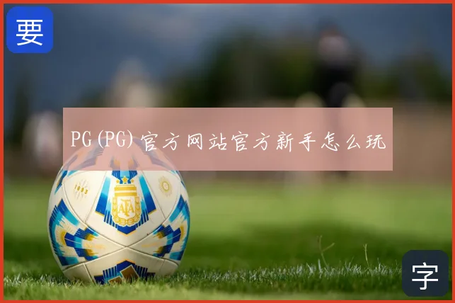 PG(PG)官方网站官方新手怎么玩
