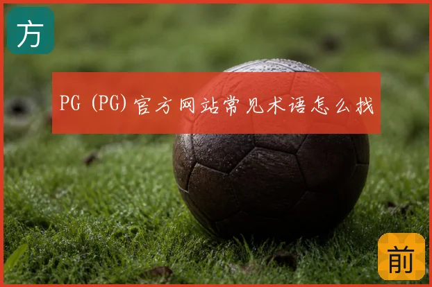 PG (PG)官方网站常见术语怎么找