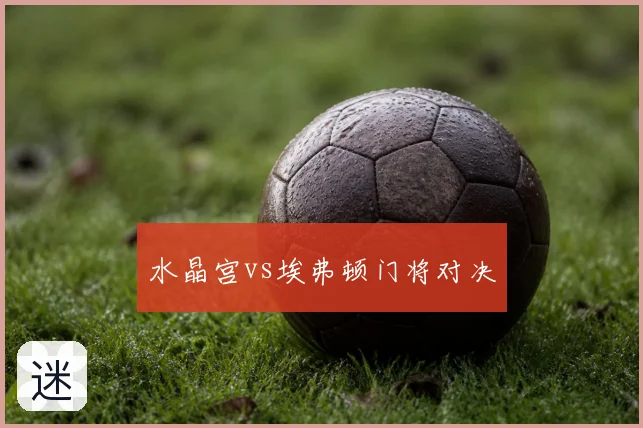 水晶宫vs埃弗顿门将对决